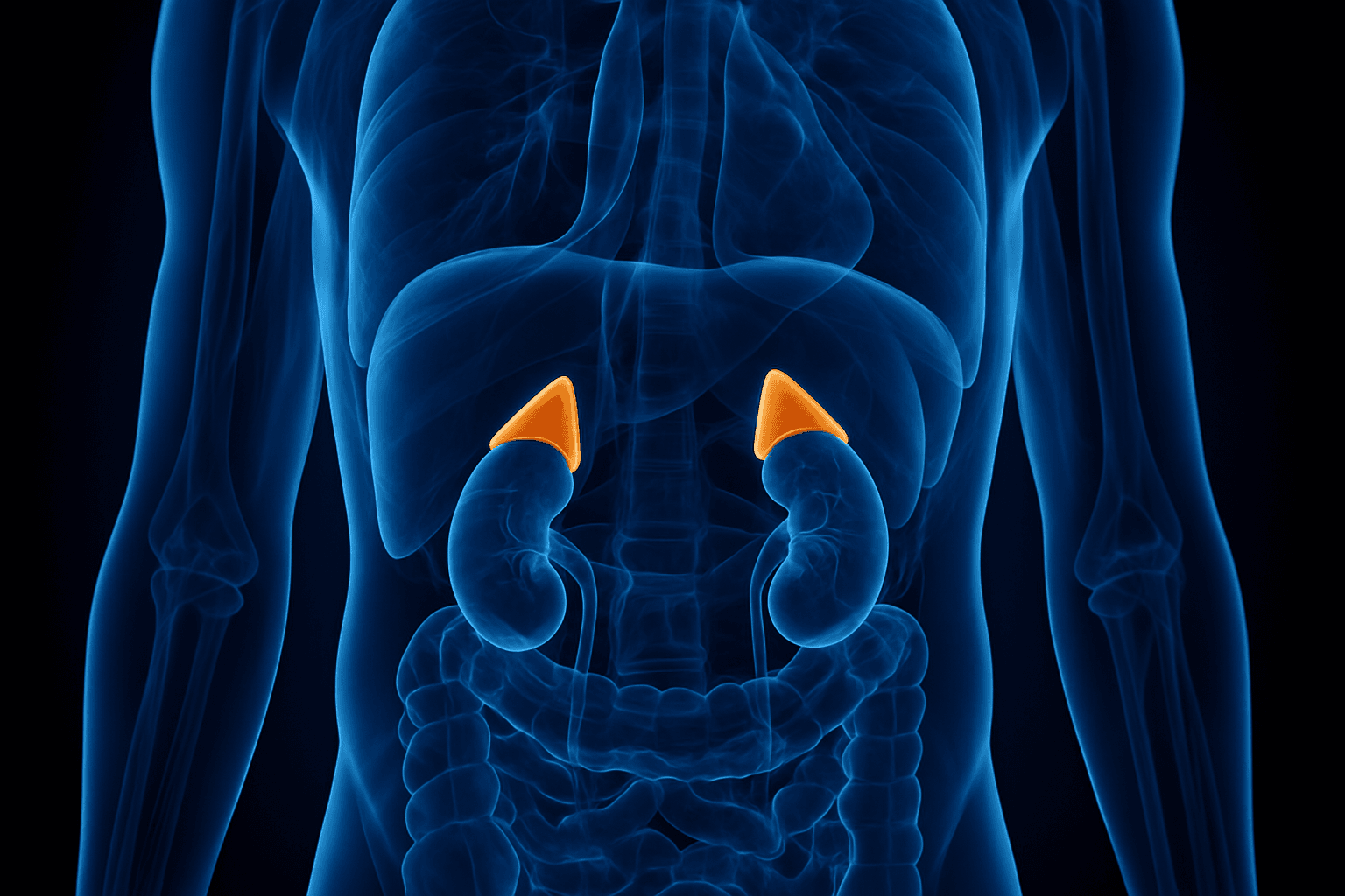 Adrenal Surgery (Adrenalectomy)
